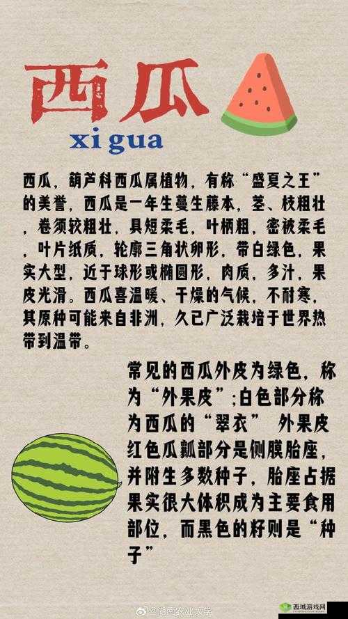 悠长假期西瓜怎么获得,获取方式详细介绍