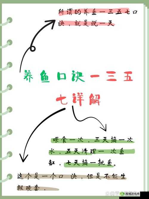 悠长假期养鱼场怎么养鱼?养鱼技巧分享