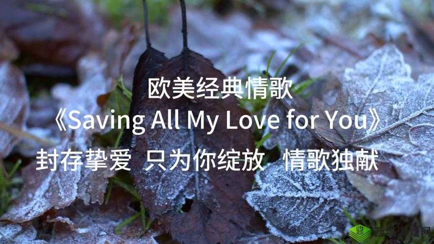 重温欧美最经典的爱情视频歌曲,感受永恒浪漫旋律与动人画面交织的视听盛宴