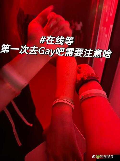 Gaylive在线观看:哪里可以找到高质量的Gaylive在线观看资源?快来了解
