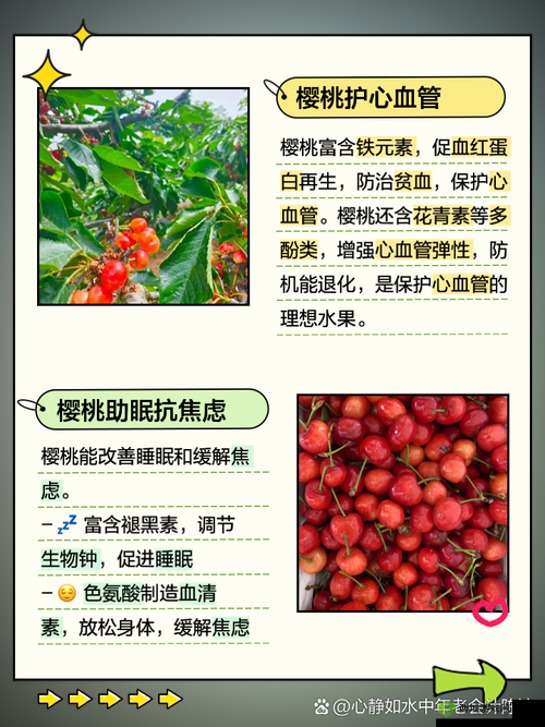 吃胸喝奶的大樱桃网站:最新鲜的水果资讯与健康饮食指南,探索樱桃的营养价值与美味搭配