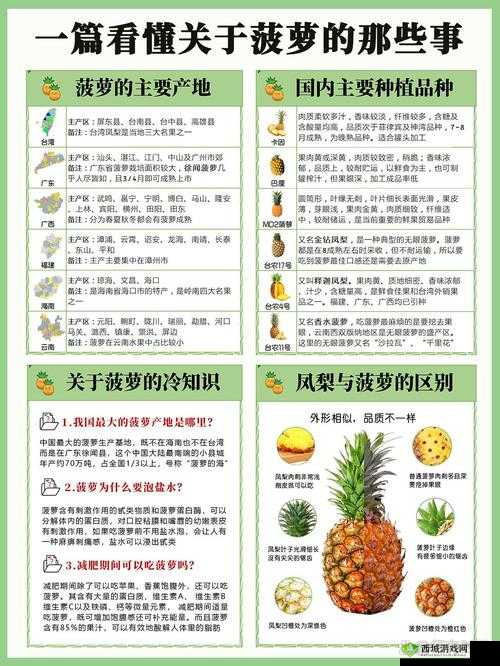 大菠萝福建官方人口 2024 是多少?