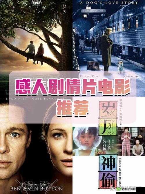 成全全集免费观看第9季高清完整版在线播放,精彩剧情抢先体验不容错过