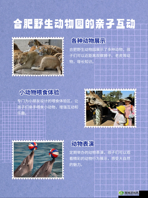 动物安排员第19关怎么过?第十九关三星图文攻略深度解析